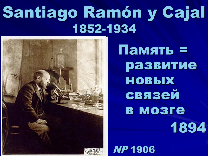 Santiago Ramón y Cajal  1852-1934 Память = развитие новых связей  в мозге
